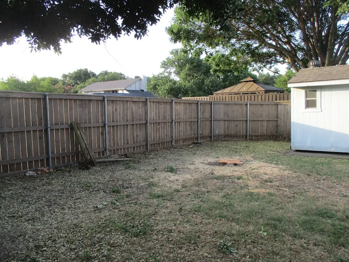 Cleared yard after professional tree removal in Santa Fe Springs